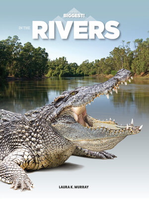 cover image of In the Rivers